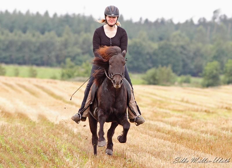 Undrandi Stoppelfeld Spass a.jpg - Mit Undrandi hat Ninja richtig Spass!
